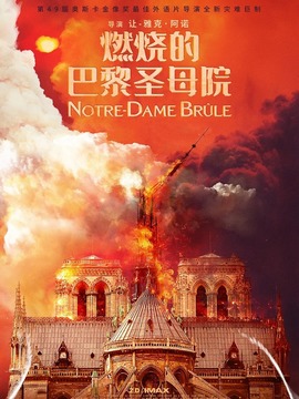 燃烧的巴黎圣母院