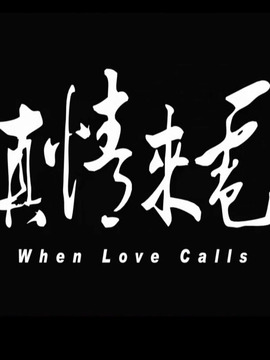 真情来电
