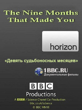 BBC 地平线系列: 怀胎九月