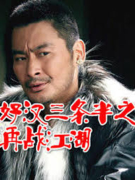 好汉三条半之再战江湖