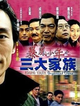 暴风少年之三大家族