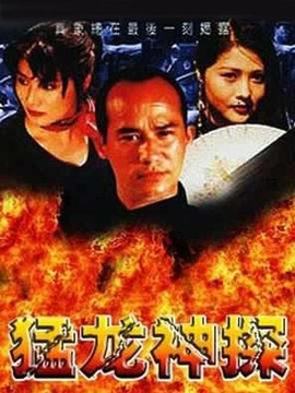 猛龙神探