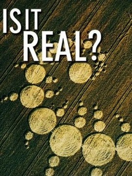 Is It Real?