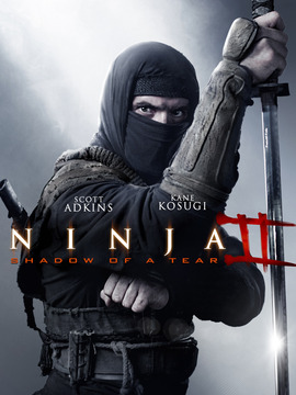 忍者2：撕裂的暗影