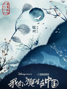 我们诞生在中国