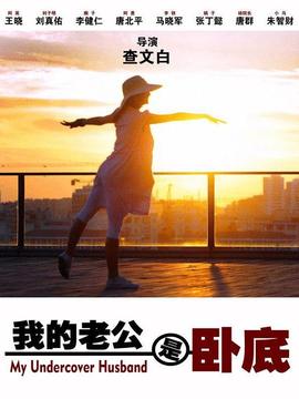 我的老公是卧底