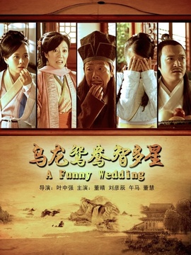 乌龙鸳鸯智多星