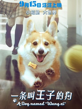 一条叫王子的狗