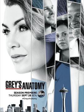 实习医生格蕾第十四季