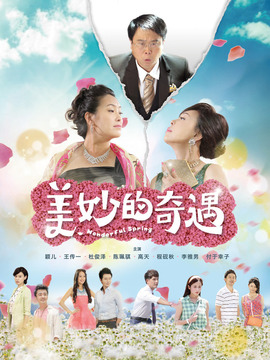 美妙的奇遇情缘