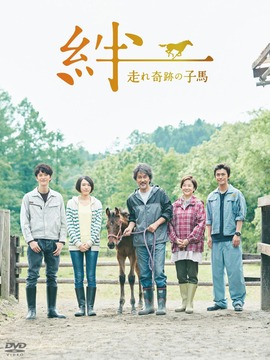 羁绊：奔跑的奇迹小马