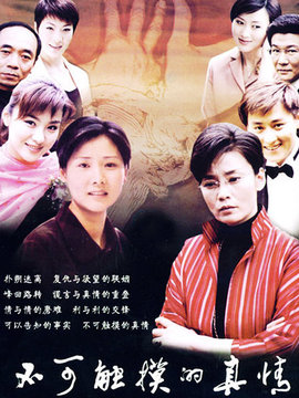 不可触摸的真情