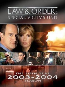 法律与秩序:特殊受害者第五季