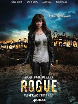 卧底情劫第一季