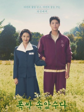 苦尽柑来遇见你