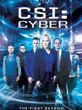 网络犯罪调查第二季