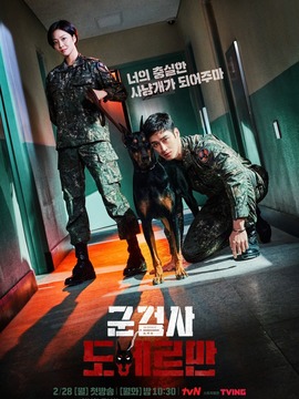 军检察官多伯曼犬