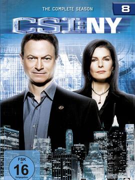 犯罪现场调查:纽约第八季