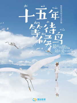 十五年等待候鸟