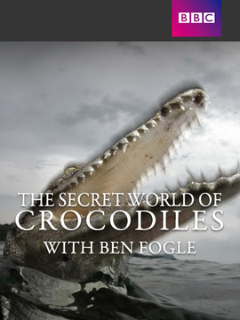 和本&middot;弗尔格探索鳄鱼的神秘生活