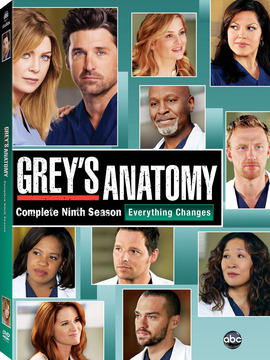 实习医生格蕾第九季