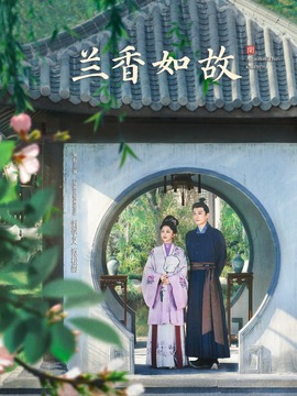 兰香如故